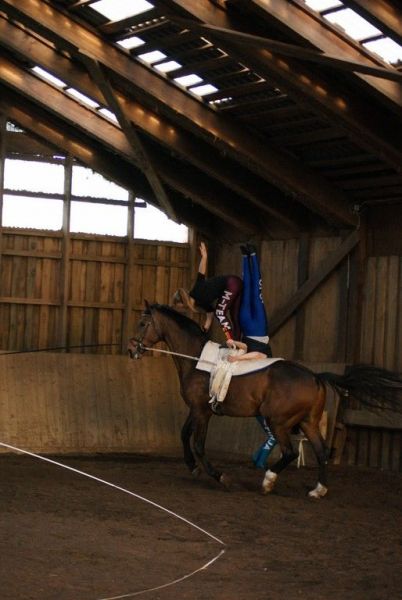 DSC06410-Kopie