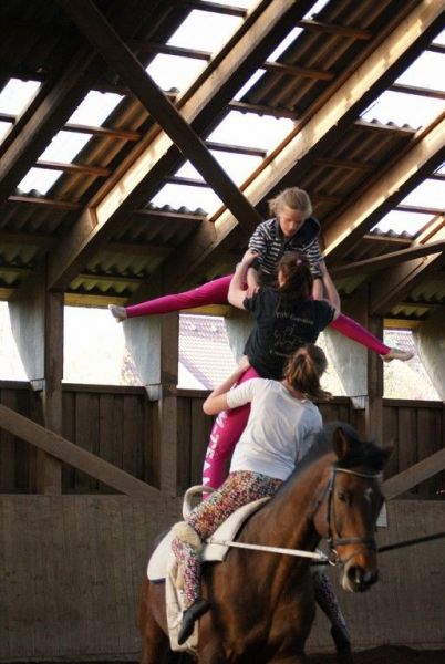 DSC06464-Kopie