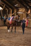 DSC06473-Kopie