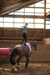 DSC06496-Kopie