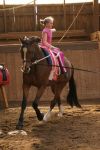 DSC06556-Kopie