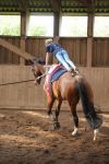 DSC06579-Kopie