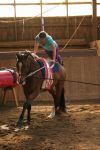 DSC06595-Kopie
