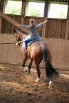 DSC06619-Kopie