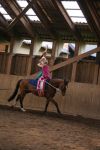 DSC06703-Kopie