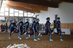 DSC6390-Kopie