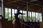 DSC6397-Kopie