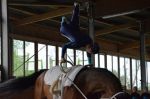 DSC6407-Kopie