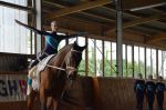 DSC6413-Kopie