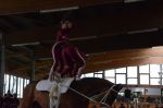 DSC6449-Kopie