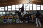 DSC6454-Kopie