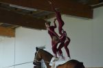 DSC6460-Kopie