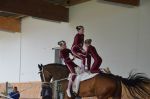 DSC6483-Kopie