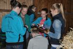 DSC0122-Kopie