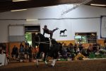 DSC0194-Kopie