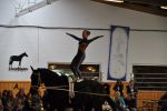 DSC0234-Kopie