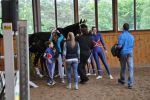 DSC0321-Kopie
