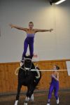 DSC0497-Kopie