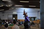 DSC0569-Kopie