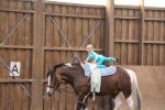 IMG3036-Kopie