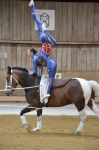 DSC6642-Kopie