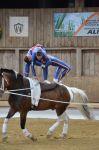 DSC6646-Kopie
