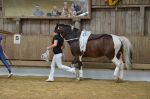 DSC6671-Kopie