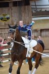 DSC6688-Kopie