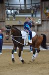 DSC6705-Kopie