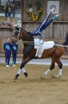 DSC6707-Kopie