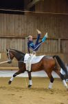 DSC6727-Kopie