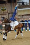 DSC6731-Kopie