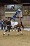 DSC6768-Kopie