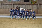 DSC6792-Kopie