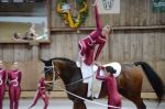 DSC6798-Kopie