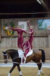 DSC6830-Kopie