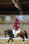 DSC6850-Kopie