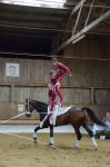 DSC6903-Kopie