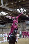 DSC6915-Kopie