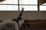 DSC7078-Kopie
