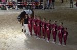DSC7198-Kopie