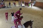 DSC7239-Kopie