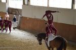 DSC7281-Kopie