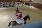 DSC7294-Kopie
