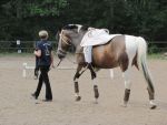 IMG7332-Kopie