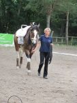 IMG7335-Kopie