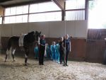 IMG7337-Kopie