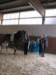 IMG7339-Kopie