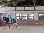 IMG7344-Kopie