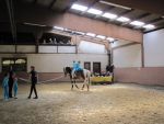 IMG7351-Kopie